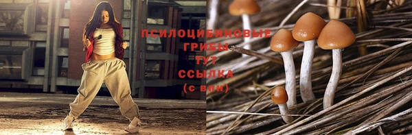 метадон Приозерск