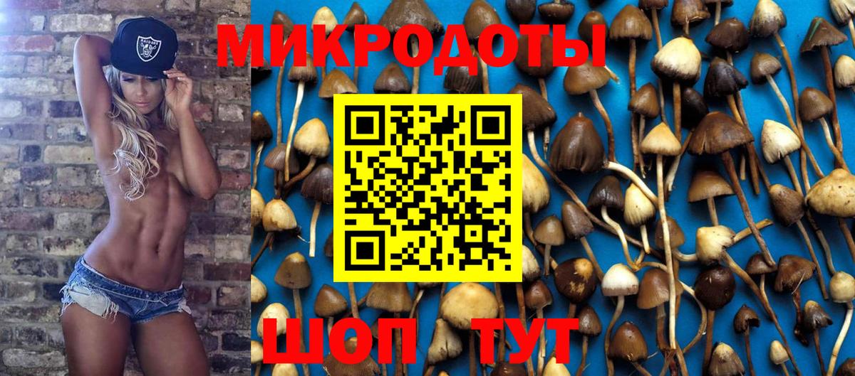 Алейск  Галлюциногенные грибы Psilocybine cubensis  закладка  Вход с VPN 