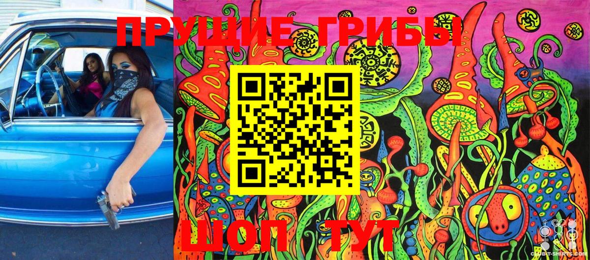 Галлюциногенные грибы мицелий  Алейск 