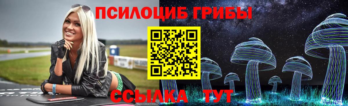 Псилоцибиновые грибы мицелий Алейск