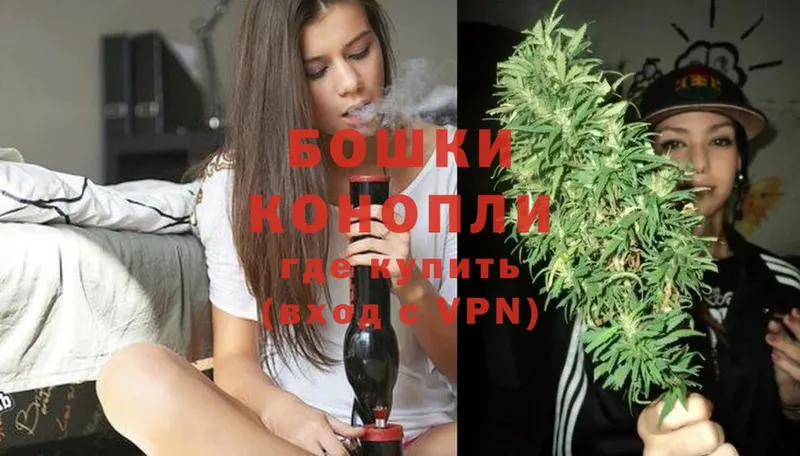 Канабис OG Kush  Алейск 