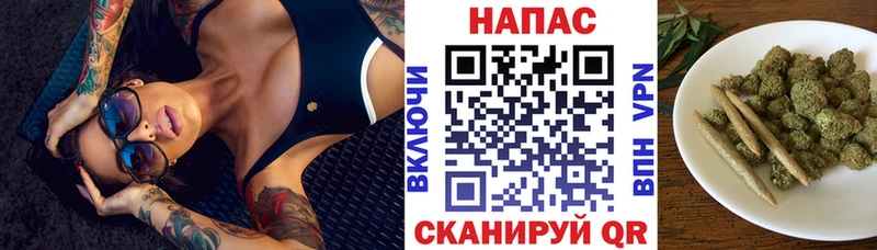 МЕГА маркетплейс  Алейск  Шишки марихуана план  что такое  